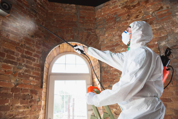 Why You Should Choose Our Mold Remediation Services in Frazeysburg, OH